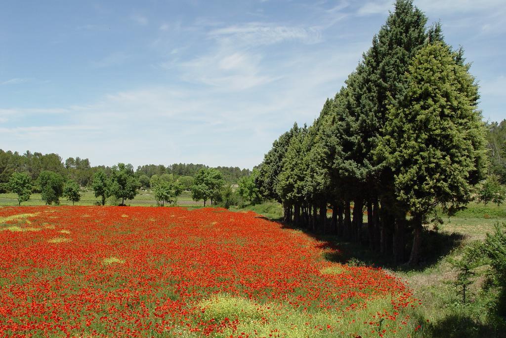 Une Campagne En Provence Bras Esterno foto