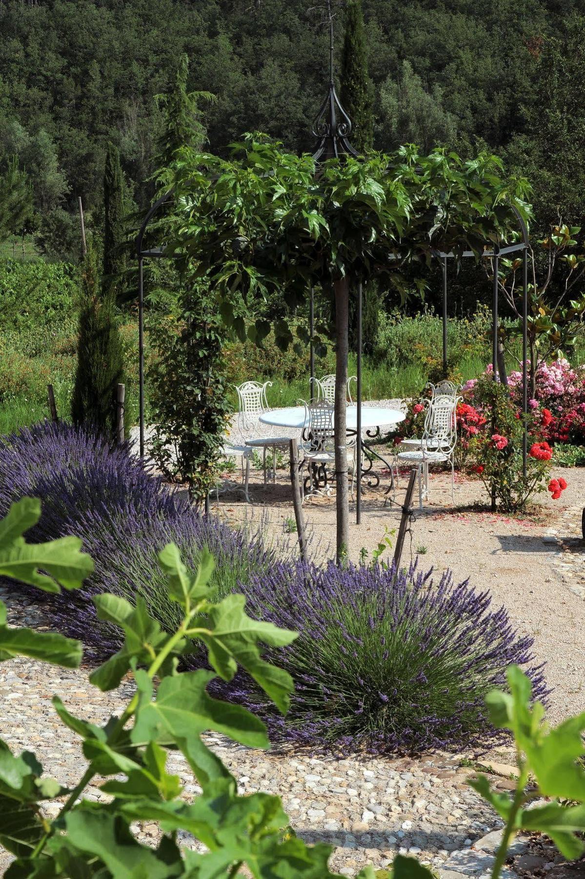 Une Campagne En Provence Bras Esterno foto